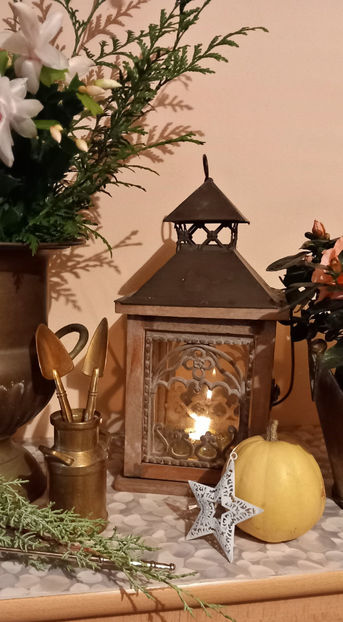 © - 01 - Advent - Craciun