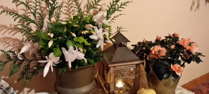 © - 01 - Advent - Craciun