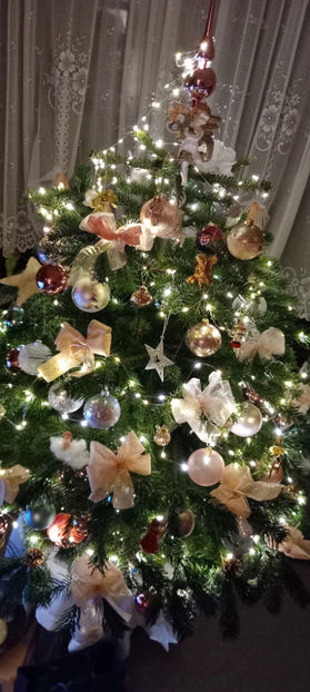 © - 01 - Advent - Craciun