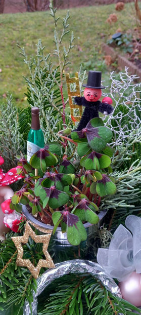 © - 01 - Advent - Craciun