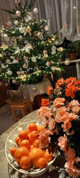 © - 01 - Advent - Craciun