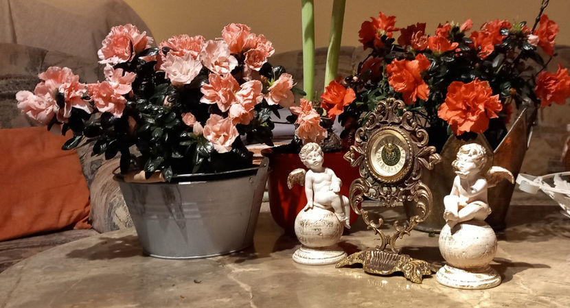 © - 01 - Advent - Craciun