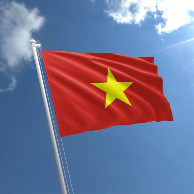 Vietnam Flag - G - Traditional make up vietnamese culture