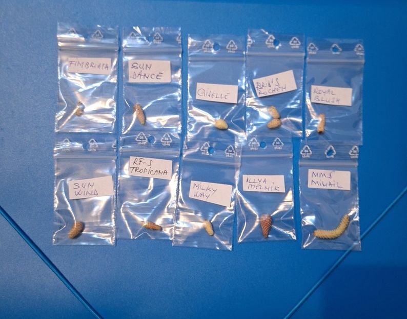  - A Pachet nr 3 la 100 lei