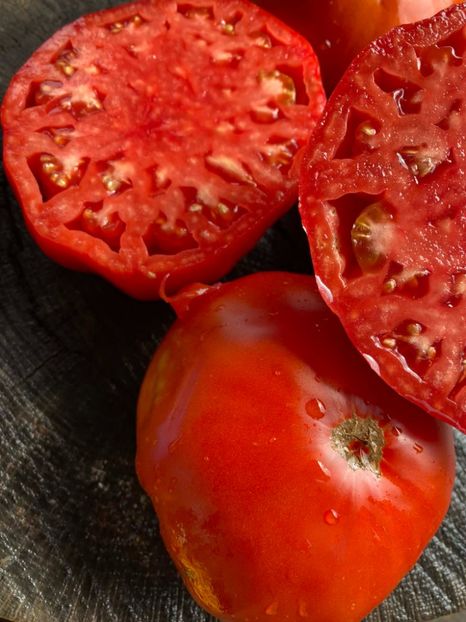  - SEMINTE ROSII - T 1004 - ROSIE GRASA ROMANEASCA