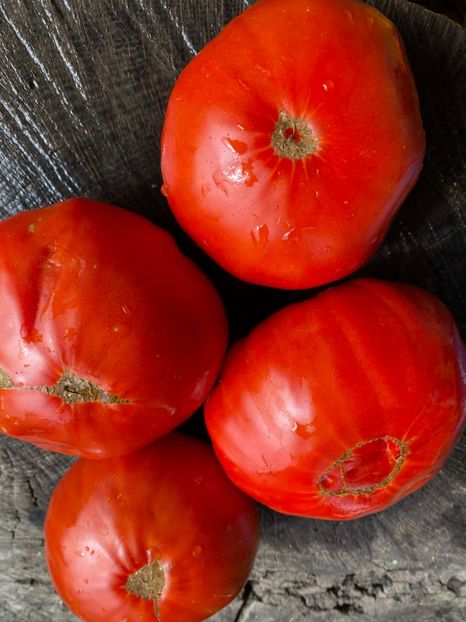  - SEMINTE ROSII - T 1004 - ROSIE GRASA ROMANEASCA