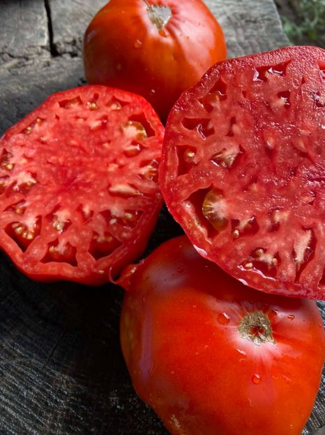  - SEMINTE ROSII - T 1004 - ROSIE GRASA ROMANEASCA