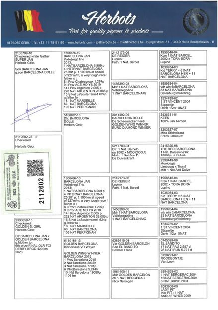 TRIPLE BARCA PED - HERBOTS - TRIPLE BARCA - dublu nepot BARCELONA JAN