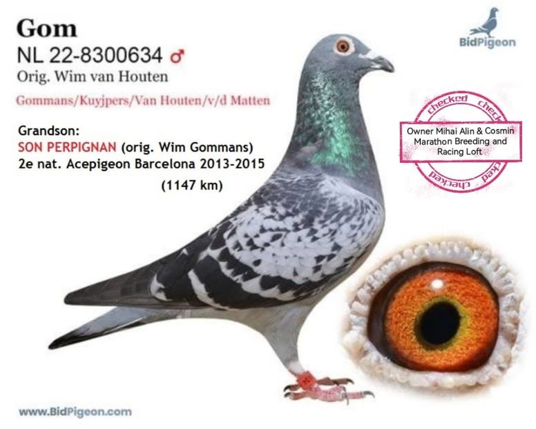 GOM - 1 ACHIZIȚII 2020-2025