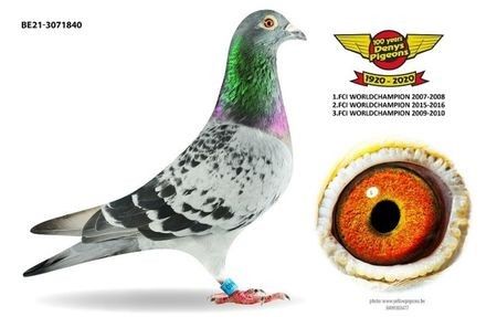 SUPER ACE 840 - 1 ACHIZIȚII 2020-2025