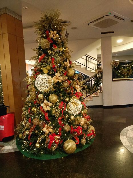 IMG20251127194354 - 3 Rio de Janeiro