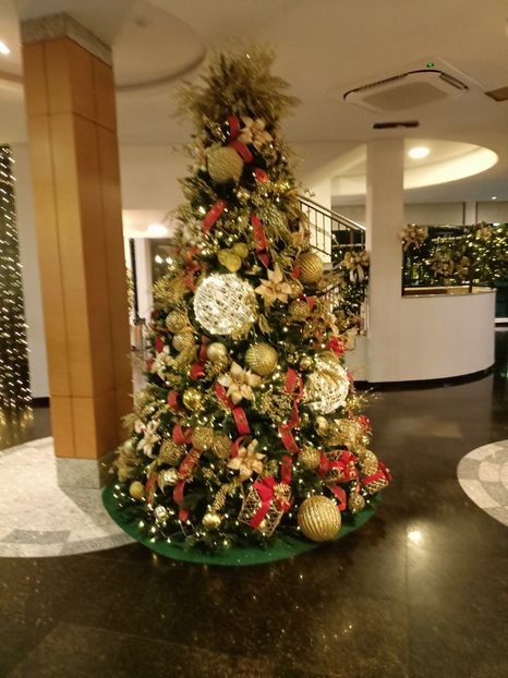 IMG20251127200830 - 3 Rio de Janeiro