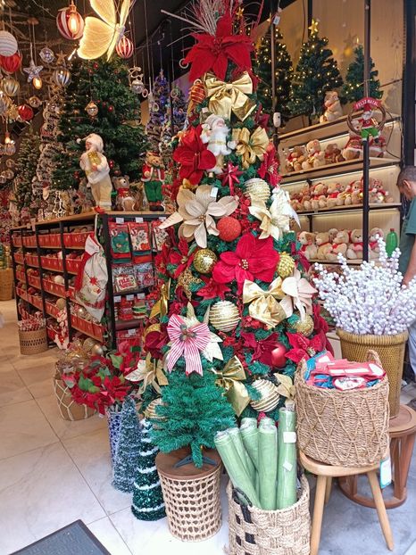 IMG20251130134220 - 3 Rio de Janeiro