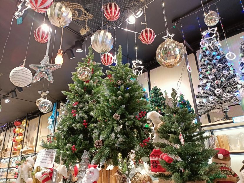 IMG20251130134248 - 3 Rio de Janeiro