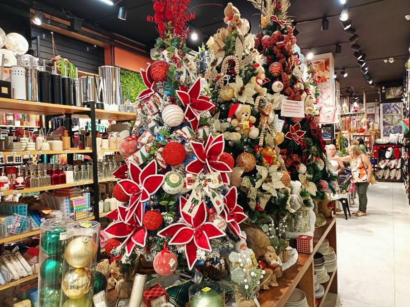 IMG20251130134305 - 3 Rio de Janeiro