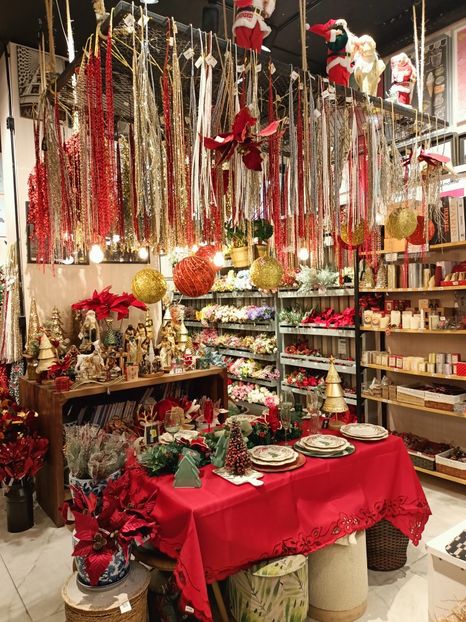 IMG20251130134451 - 3 Rio de Janeiro