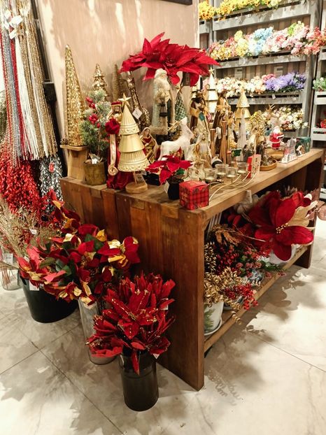 IMG20251130134502 - 3 Rio de Janeiro