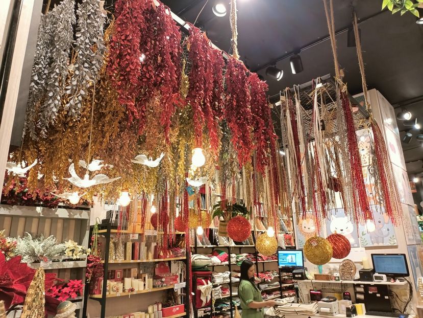 IMG20251130134517 - 3 Rio de Janeiro