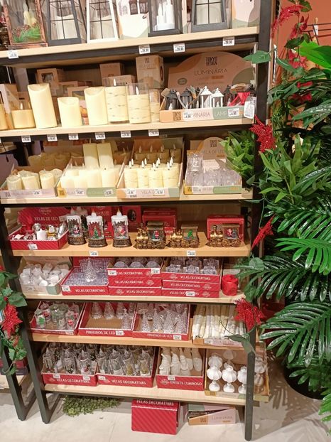 IMG20251130134629 - 3 Rio de Janeiro