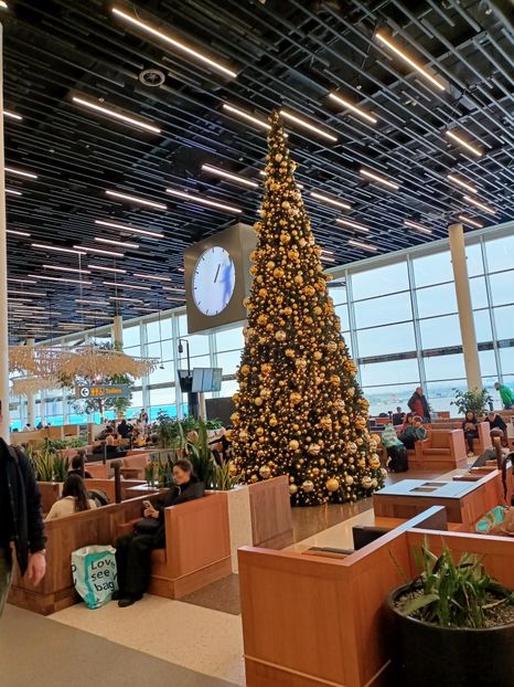 IMG20251203090843 - 3 Rio de Janeiro