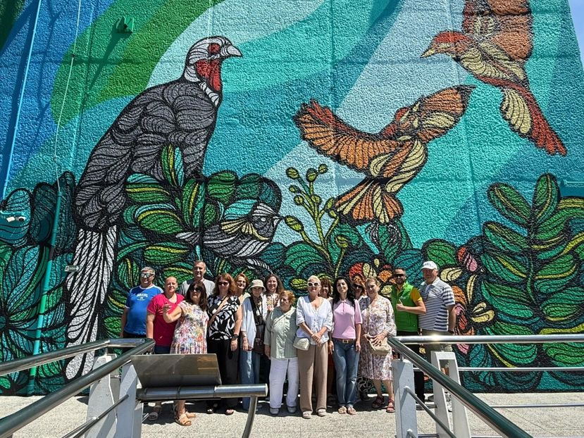 WhatsApp Image 2025-12-01 at 20.25.54 - 4 Grup Karpaten