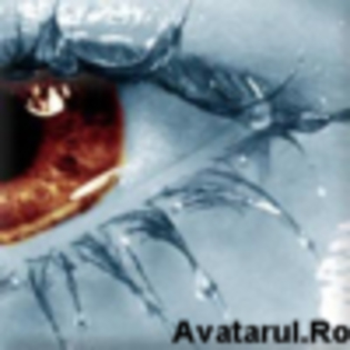 avatar_16[1]