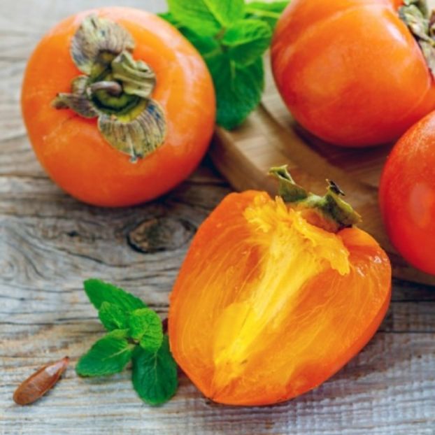 kaki cioccolatino - Noutăți 2025