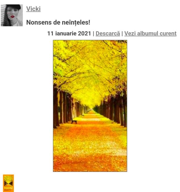  - Nonsens de neînțeles