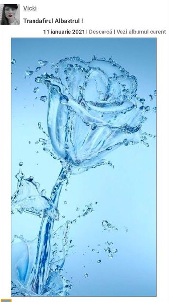  - Trandafirul Albastru