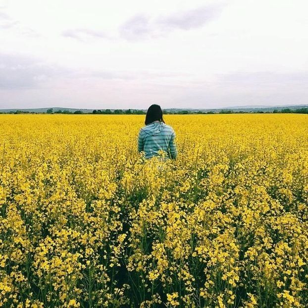  - 0 - Buna- INTRODUCERE