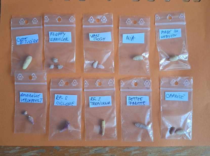  - A Pachet nr 5 la 100 lei vandut