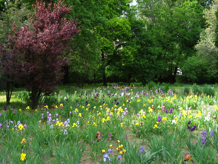 10.05. 026 - bucuresti