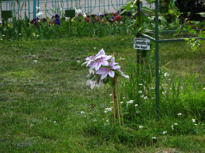 10.05. 045 - bucuresti