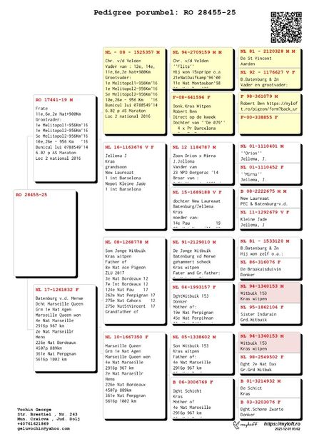 RO28455FlitsB - Vochin Gelu FlitsB