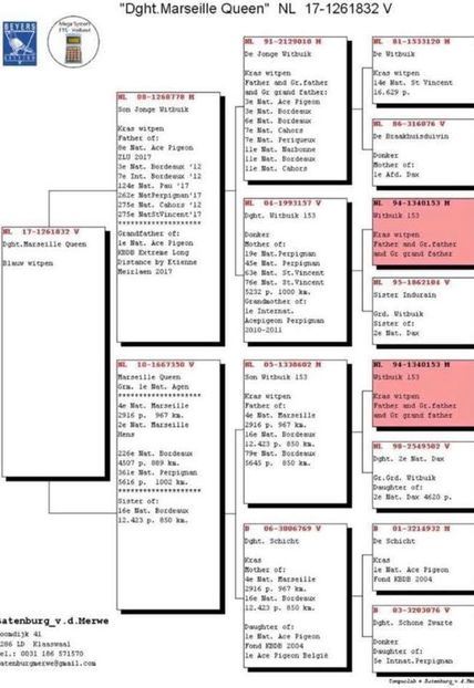  - Vochin Gelu FlitsB