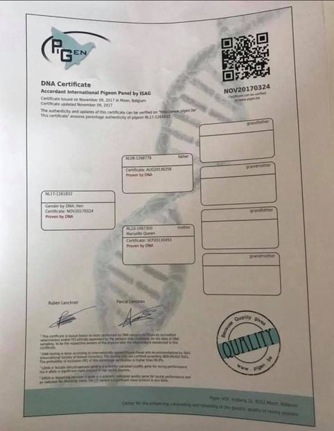  - Vochin Gelu FlitsB