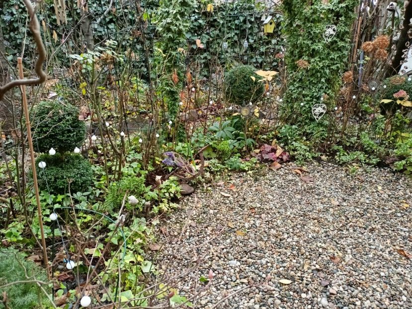  - Grădina 2025 continuare 6