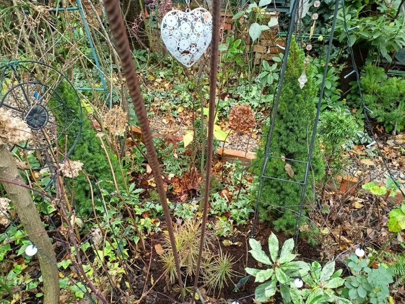  - Grădina 2025 continuare 6