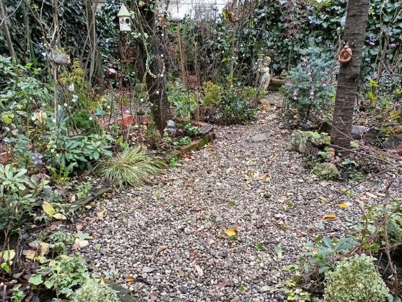  - Grădina 2025 continuare 6