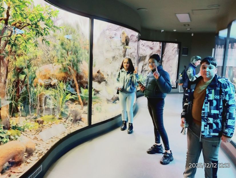  - 2025-26 Cls 6a Daisoara