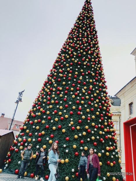  - 2025-26 Cls 6a Daisoara