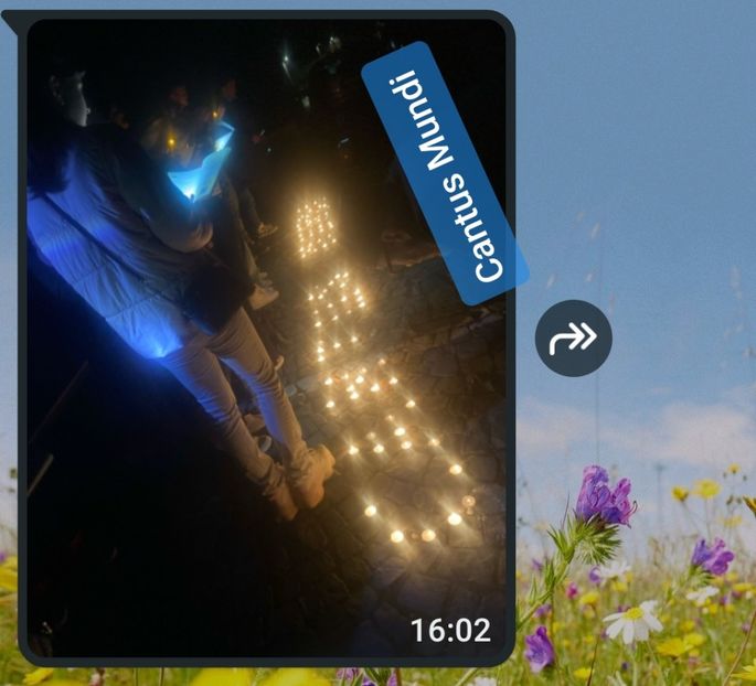  - 2025 Ungra Ora Pamantului