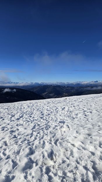 1df0c9a3-8251-47b7-bde4-72c4638d62d1 - 2025GermanyDec16