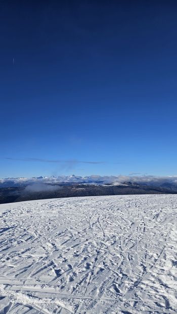 647dfab9-0f66-4b4d-961e-eaf9ff04bdce - 2025GermanyDec16