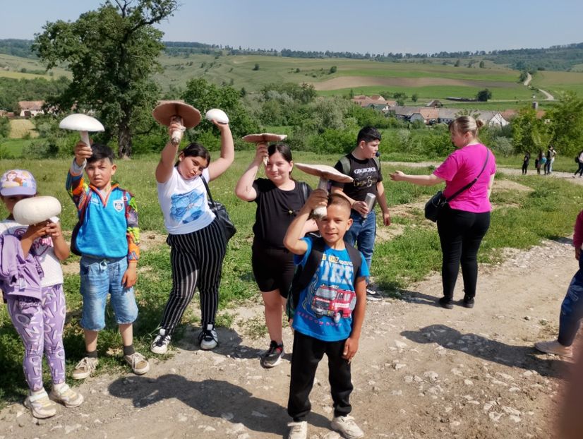  - 2024_25 cls 5a Daisoara