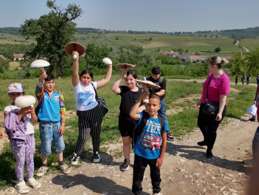  - 2024_25 cls 5a Daisoara