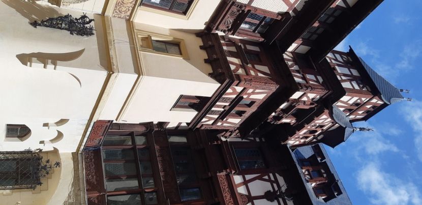  - 2024_2025 școală Ungra și Daisoara Cuciulata