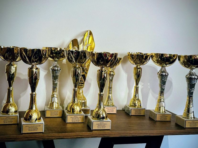 Lady 11 - Performanta