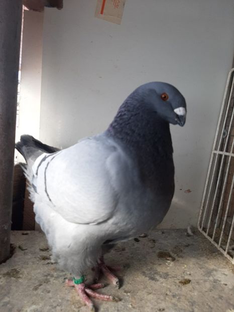 IMG-20251222-WA0050 - Tineri 2025