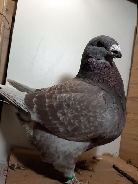 IMG-20251222-WA0030 - Tineri 2025